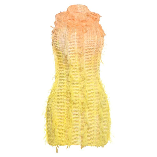 Mini-robe à col ras du cou, ajourée, transparente et à pompons dégradés 