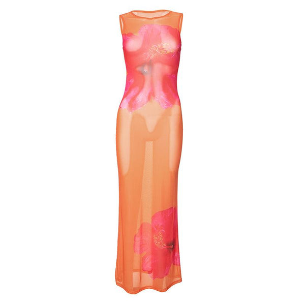 Robe longue sans manches à col ras du cou et imprimé fleuri en maille transparente | Robe Samba 